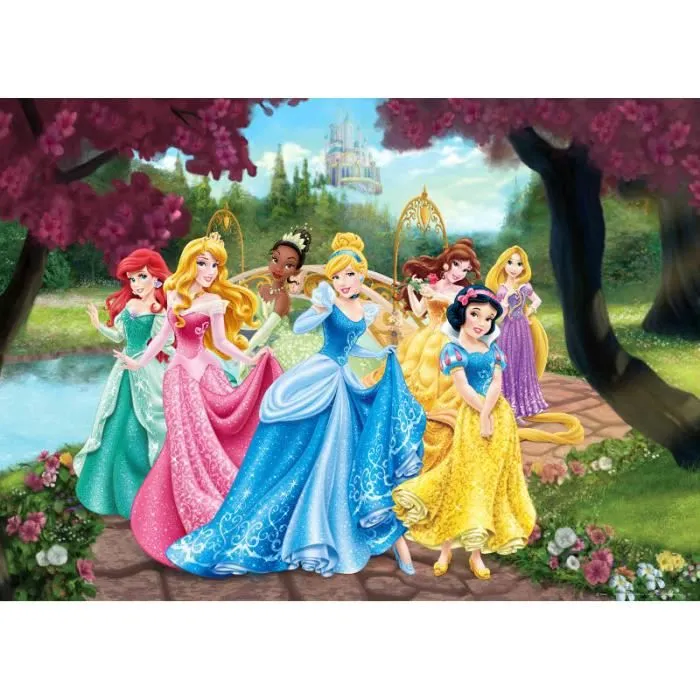 Poster XXL Princesse Disney - Château - Cendrillon - Aurore - Belle - Raiponce - Tiana - Blanche Neige