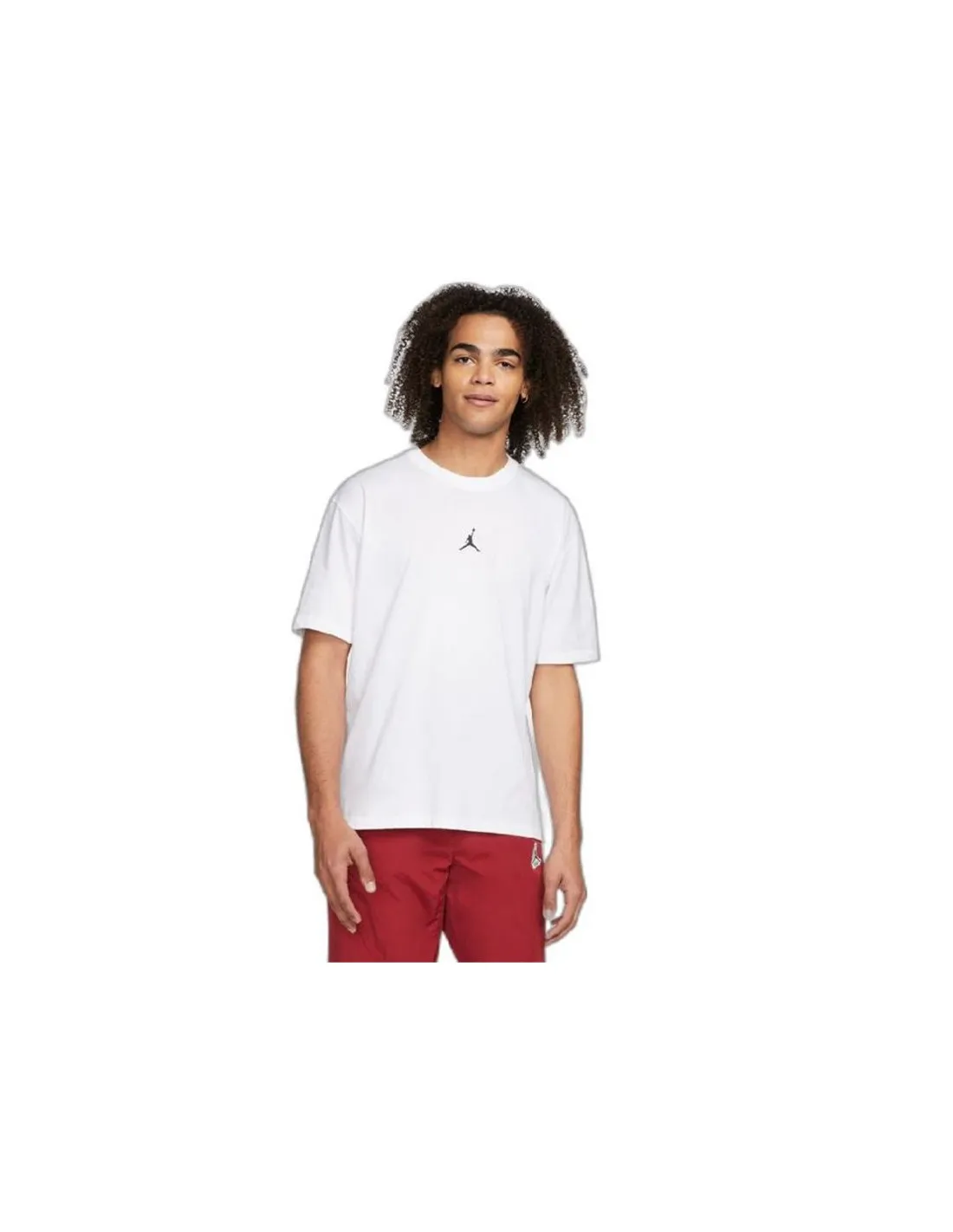 T-Shirt Nike Jordan Sport Dri-FIT Hommes WH